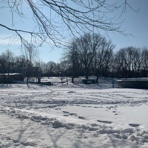 Meet your Posher, Susana